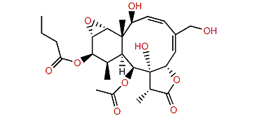 Briarenolide V